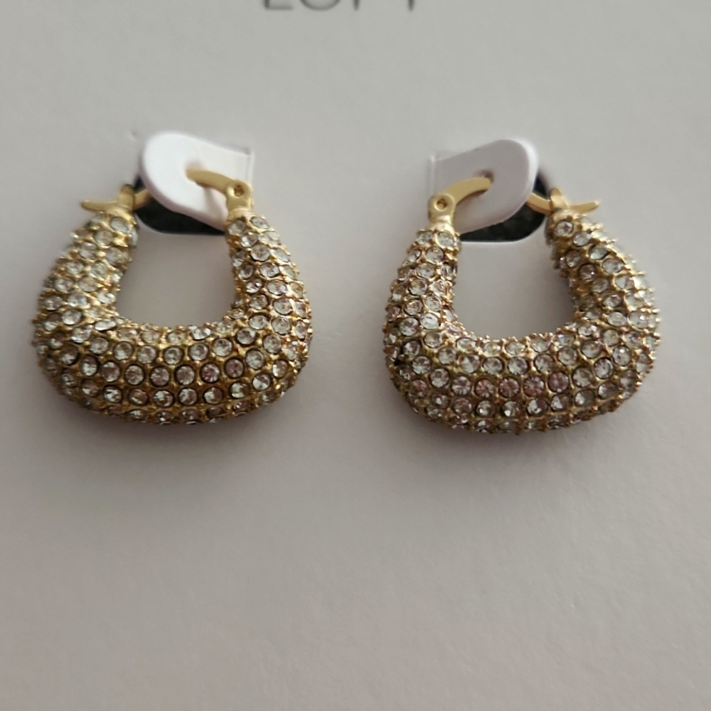 Loft Crystal Hoop Earrings